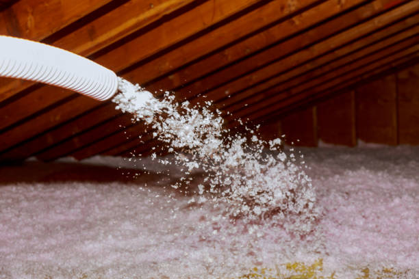 Best Insulation Maintenance and Repair in Monroe, IA